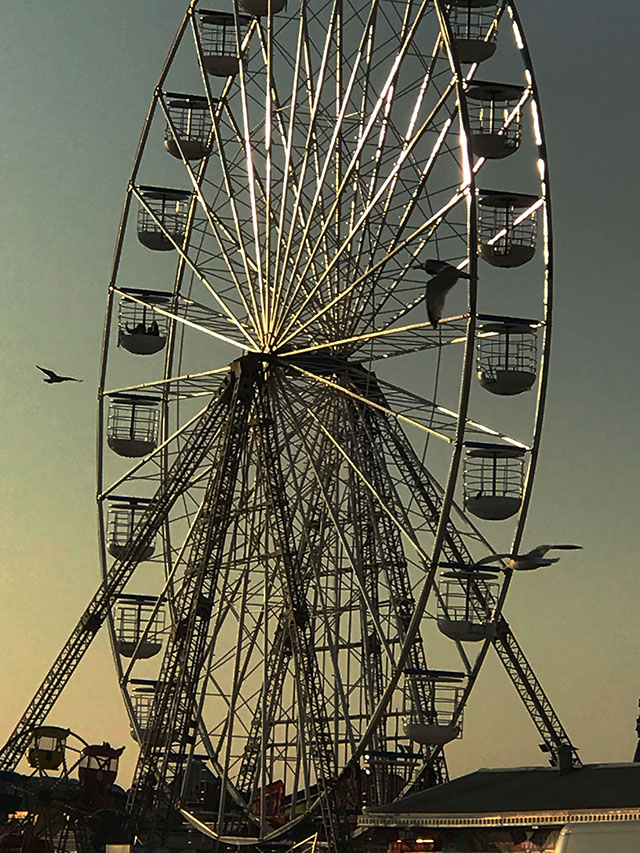 HC.FERRIS WHEEL.jpg